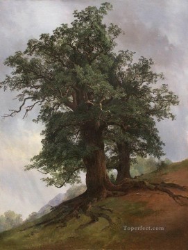 Paisajes Painting - viejo roble 1866 paisaje clásico Ivan Ivanovich árboles
